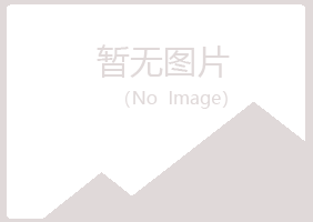 五大连池翠安冶炼有限公司